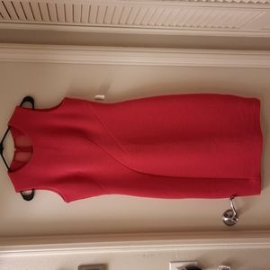 NWT, Taylor Ribbed Fuschia Bodycon Dress